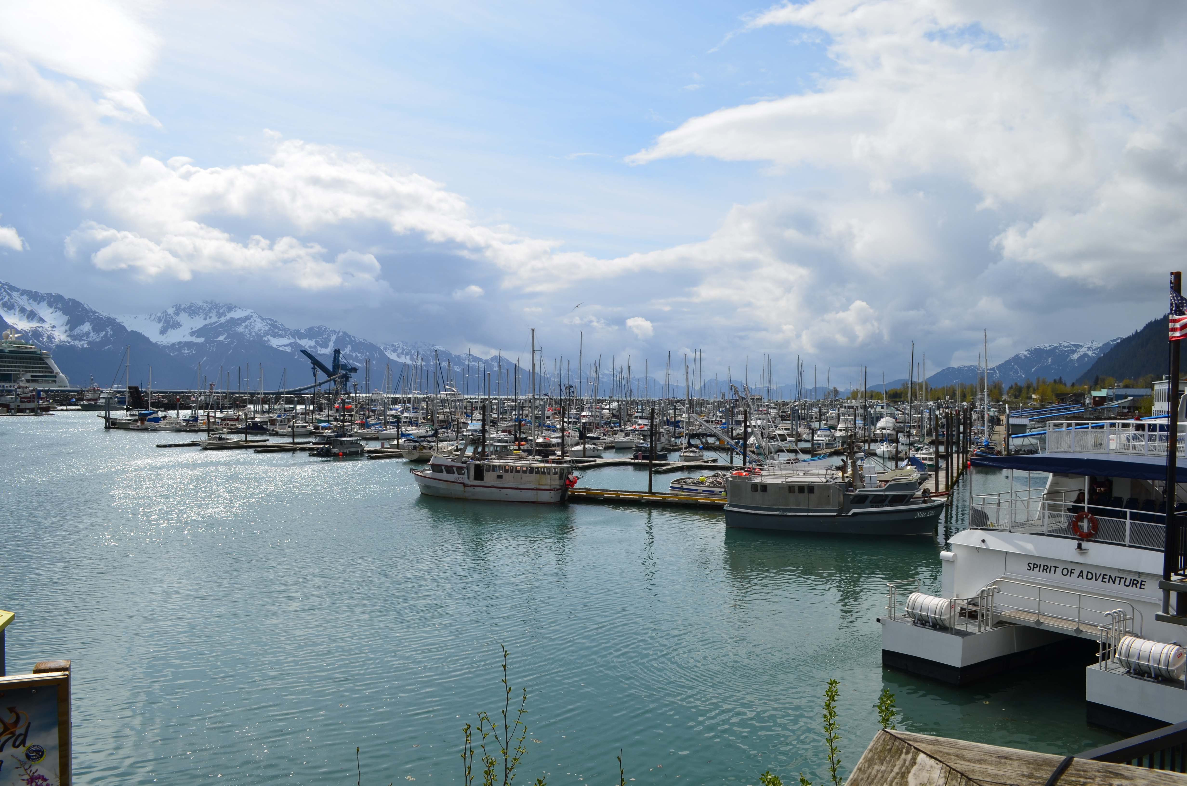 ./2017/08 - Alaska Cruise/06 - Seward/DSC_0603.JPG